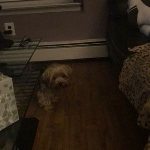 Meet your Posher, Maryann